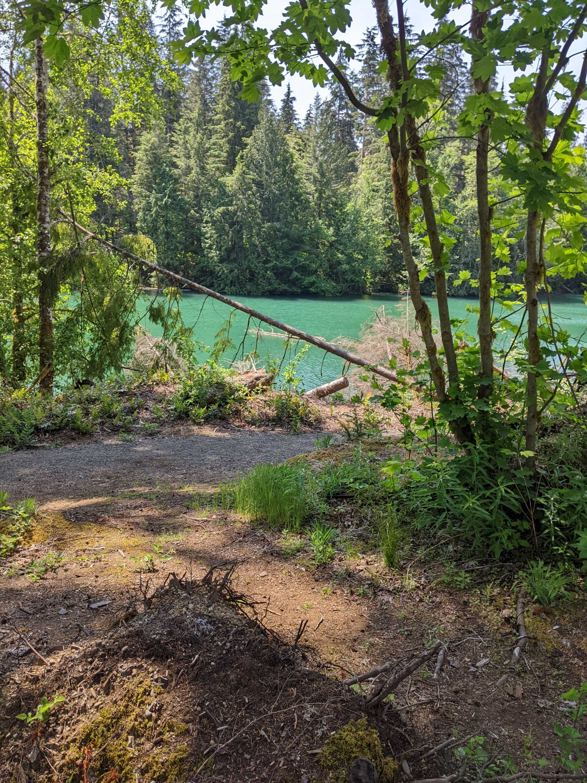 PXL 20230529 184529663.MP