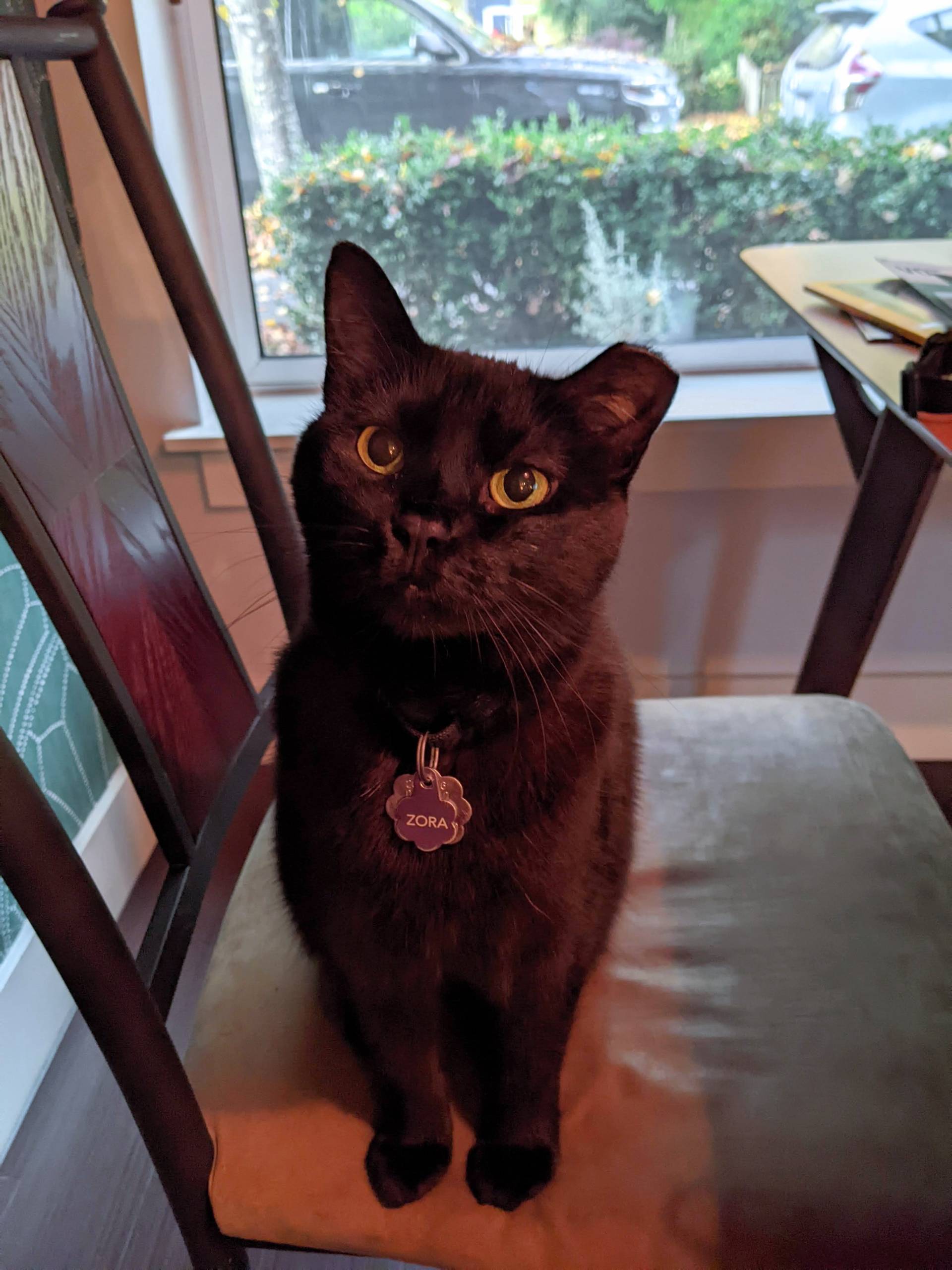 PXL 20231018 144558734.MP